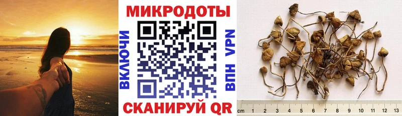 Галлюциногенные грибы MAGIC MUSHROOMS Льгов
